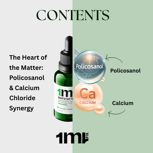 Natstat - Cholesterol Support